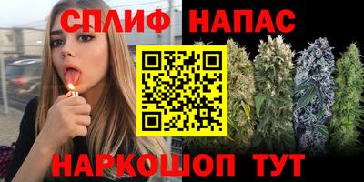 прущие грибы Чапаевск