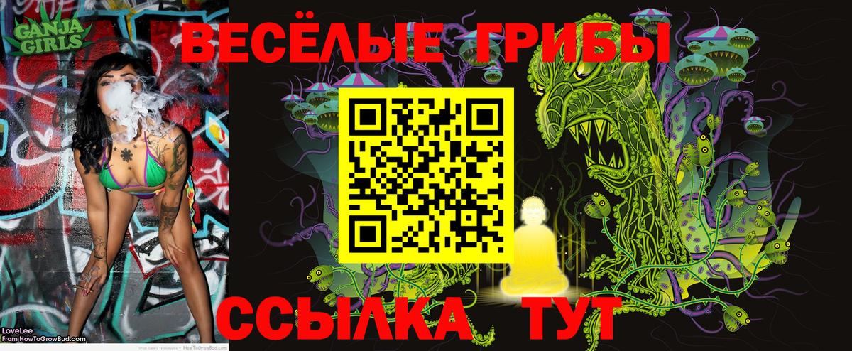 Псилоцибиновые грибы мухоморы  цена наркотик  Большой Камень  Вход с VPN  Псилоцибиновые грибы мухоморы 